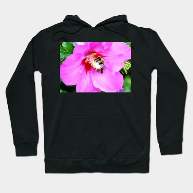 Bumble Bee Pollinating Pink Flower Hoodie by 1Redbublppasswo